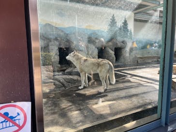 天王寺動物園に投稿された画像（2025/2/15）
