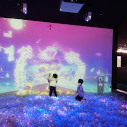 リトルプラネット ららぽーと沼津に投稿された画像（2025/2/15）