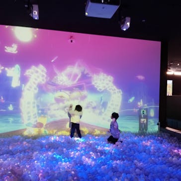 リトルプラネット ららぽーと沼津に投稿された画像（2025/2/15）