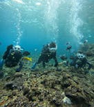 沖縄マリンサービス碧に投稿された画像（2025/2/15）