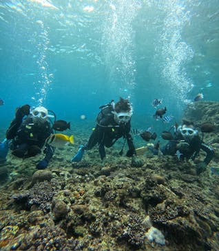 沖縄マリンサービス碧に投稿された画像（2025/2/15）