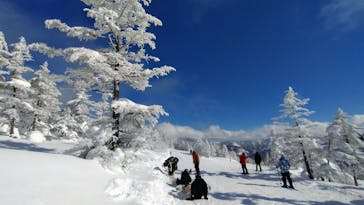 志賀高原マウンテンリゾートに投稿された画像（2025/2/15）