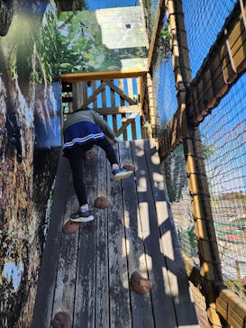 モビリティリゾートもてぎに投稿された画像（2025/2/15）