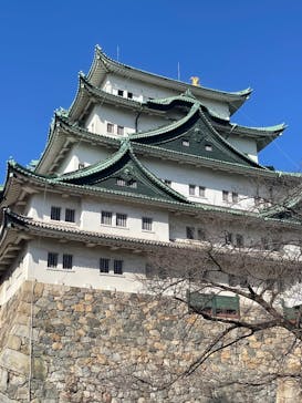 名古屋城に投稿された画像（2025/2/15）