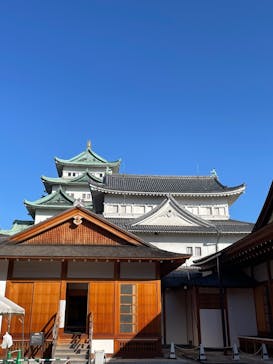 名古屋城に投稿された画像（2025/2/15）