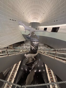 福井県立恐竜博物館に投稿された画像（2025/2/15）