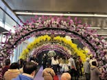 世界らん展2025-花と緑の祭典-に投稿された画像（2025/2/15）