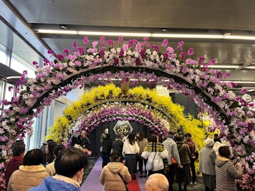 世界らん展2026-花と緑の祭典-に投稿された画像（2025/2/15）