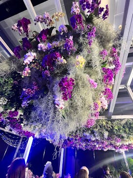 世界らん展2026-花と緑の祭典-に投稿された画像（2025/2/15）