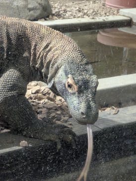 名古屋市東山動植物園に投稿された画像（2025/2/15）