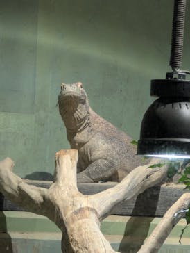 名古屋市東山動植物園に投稿された画像（2025/2/15）