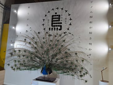 特別展「鳥 ～ゲノム解析が解き明かす新しい鳥類の系統～」国立科学博物館に投稿された画像（2025/2/15）