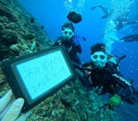 青の洞窟専門店　沖縄ダイビングショップ和に投稿された画像（2025/2/15）