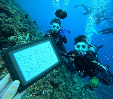 青の洞窟専門店　沖縄ダイビングショップ和に投稿された画像（2025/2/15）