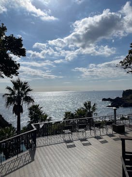 ニューヨークランプミュージアム＆フラワーガーデンに投稿された画像（2025/2/15）