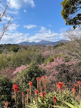 ニューヨークランプミュージアム＆フラワーガーデンに投稿された画像（2025/2/15）