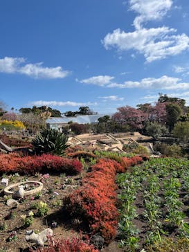 ニューヨークランプミュージアム＆フラワーガーデンに投稿された画像（2025/2/15）