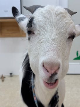 アニタッチ MARK IS 静岡に投稿された画像（2025/2/15）