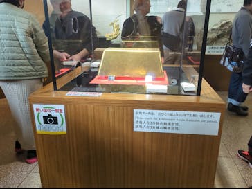 土肥金山に投稿された画像（2025/2/15）