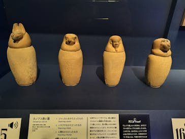 ブルックリン博物館所蔵 特別展 古代エジプトに投稿された画像（2025/2/15）