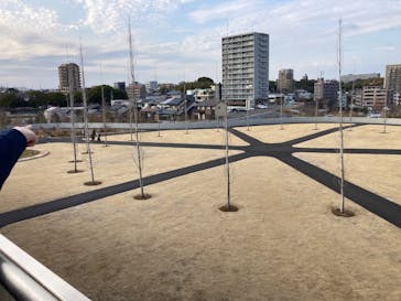 特別展「和食～日本の自然、人々の知恵～」に投稿された画像（2025/2/15）