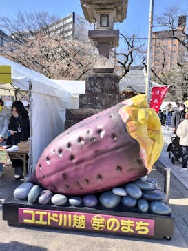 第３回コエド芋パークに投稿された画像（2025/2/15）