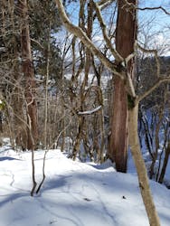 二ツ井町観光協会に投稿された画像（2025/2/15）
