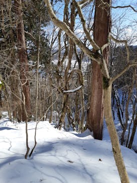 二ツ井町観光協会に投稿された画像（2025/2/15）