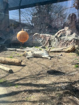 名古屋市東山動植物園に投稿された画像（2025/2/15）