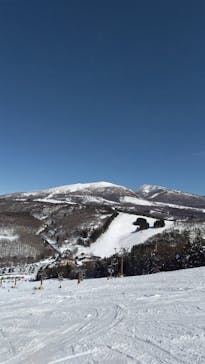 日本スキー産業振興協会に投稿された画像（2025/2/15）