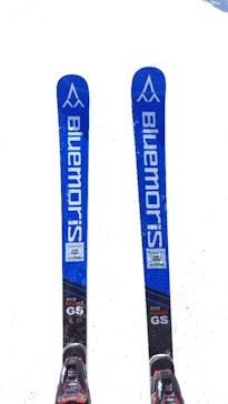 日本スキー産業振興協会に投稿された画像（2025/2/15）