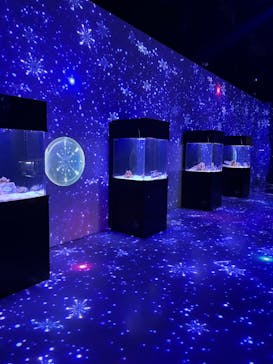 マクセル アクアパーク品川に投稿された画像（2025/2/15）