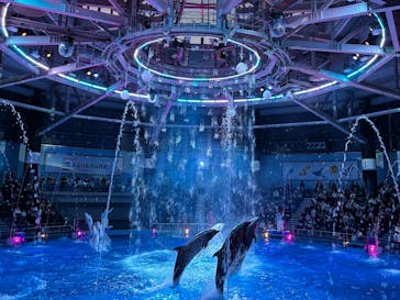 マクセル アクアパーク品川に投稿された画像（2025/2/15）