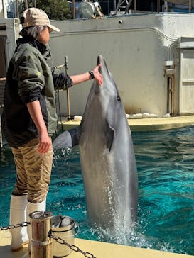 伊豆・三津シーパラダイスに投稿された画像（2025/2/15）