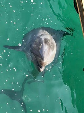 伊豆・三津シーパラダイスに投稿された画像（2025/2/15）