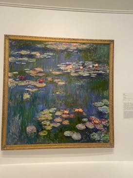 モネ 睡蓮のとき（国立西洋美術館）に投稿された画像（2025/2/15）