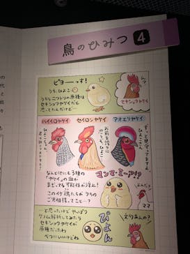 特別展「鳥 ～ゲノム解析が解き明かす新しい鳥類の系統～」国立科学博物館に投稿された画像（2025/2/15）