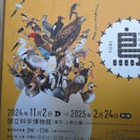 特別展「鳥 ～ゲノム解析が解き明かす新しい鳥類の系統～」国立科学博物館に投稿された画像（2025/2/15）