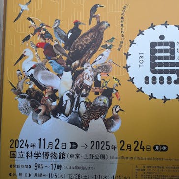 特別展「鳥 ～ゲノム解析が解き明かす新しい鳥類の系統～」国立科学博物館に投稿された画像（2025/2/15）