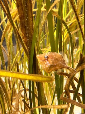 マリンワールド海の中道に投稿された画像（2025/2/15）