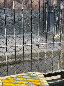東武動物公園に投稿された画像（2025/2/15）
