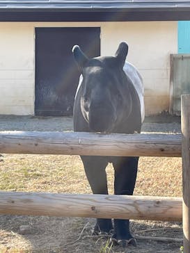 東武動物公園に投稿された画像（2025/2/15）