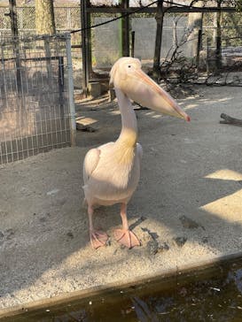 東武動物公園に投稿された画像（2025/2/15）
