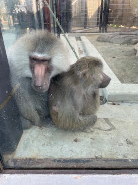東武動物公園に投稿された画像（2025/2/15）