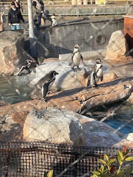 東武動物公園に投稿された画像（2025/2/15）