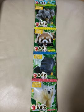 名古屋市東山動植物園に投稿された画像（2025/2/15）