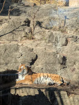 多摩動物公園に投稿された画像（2025/2/15）