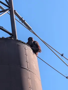 多摩動物公園に投稿された画像（2025/2/15）