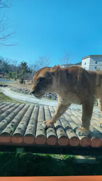 多摩動物公園に投稿された画像（2025/2/15）