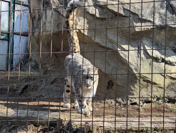 多摩動物公園に投稿された画像（2025/2/15）
